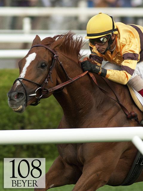 Wise Dan wins the Fourstardave Wise Dan wins the Fourstardave